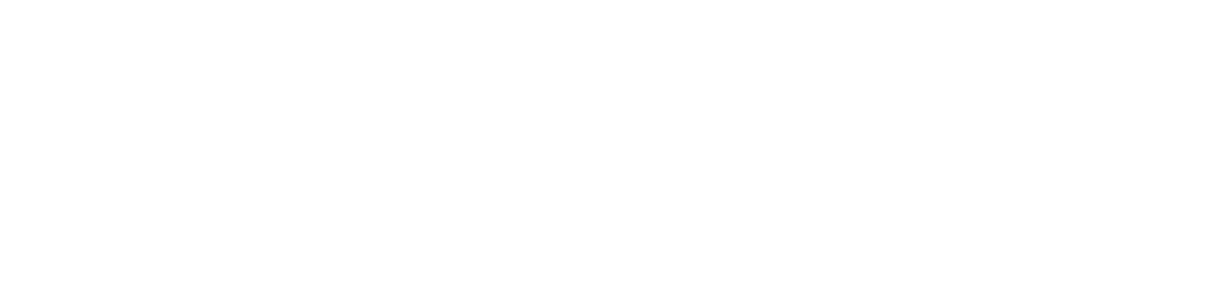 Official Macro Global (MG) Logo - White