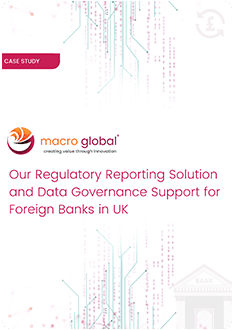 Data Governance Support