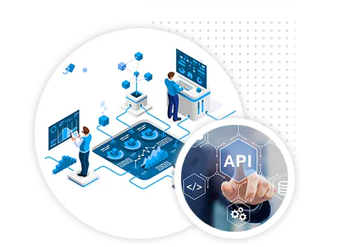 Highly customisable API Bridges