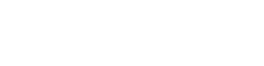 Official Macro Global (MG) Logo