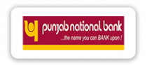 Punjab National Bank Limited logo